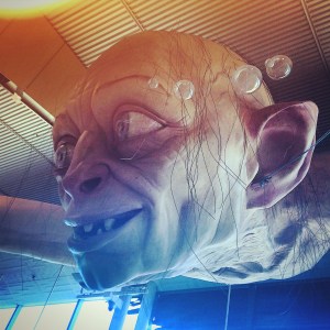 Precious, found at the Wellington airport