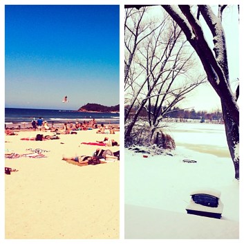 Side by side comparison of Sydney and Wisconsin